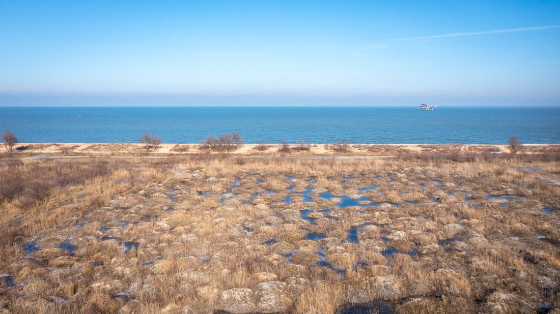 Ход строительства ЖК «Море тут» за Февраль 2024 г., фото №1