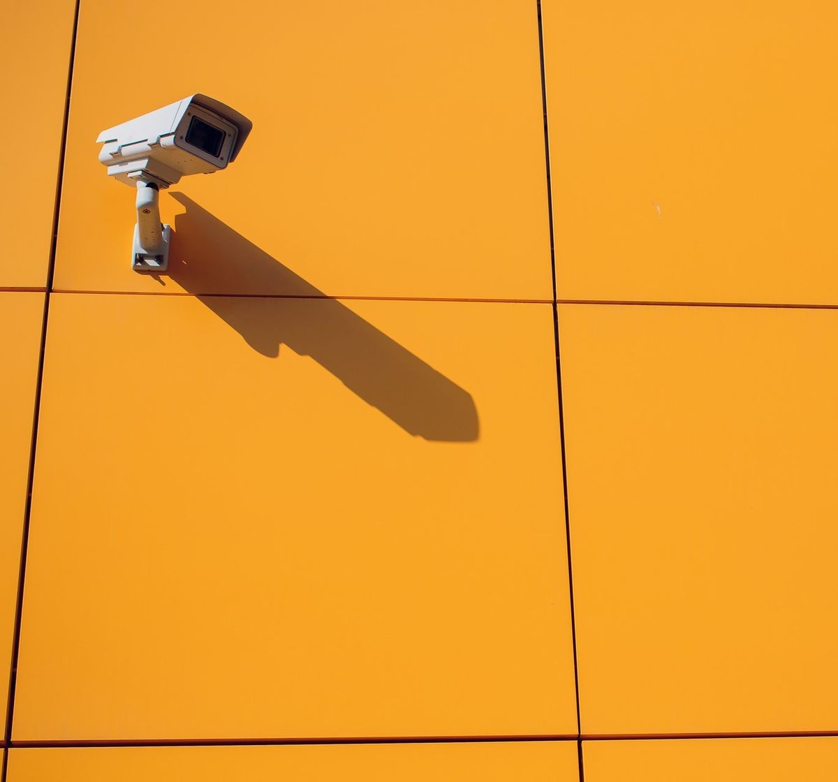 Круглосуточное видеонаблюдение