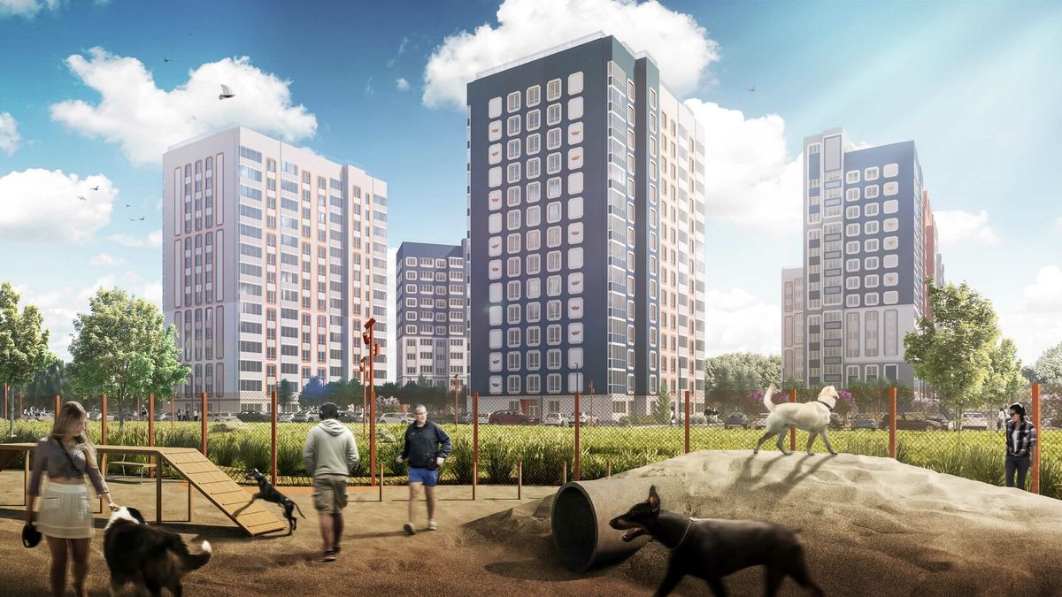 Зона выгула собак