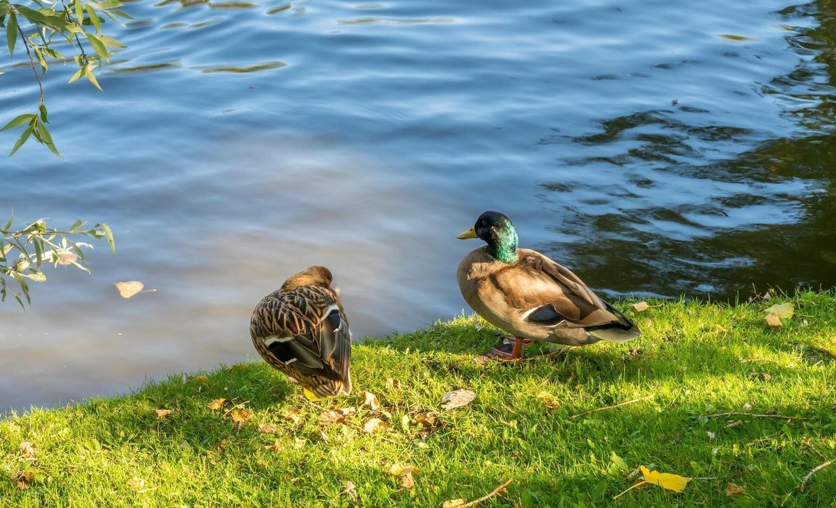 Инфраструктура