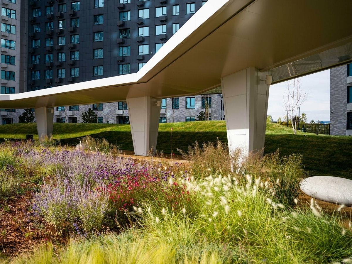 Очарование природы