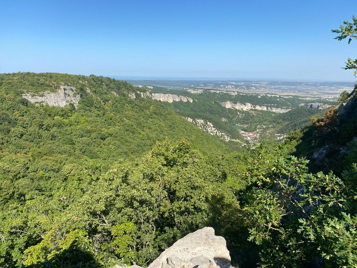 Экологические особенности