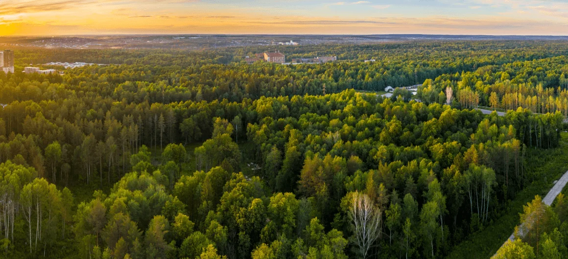 Видовые квартиры