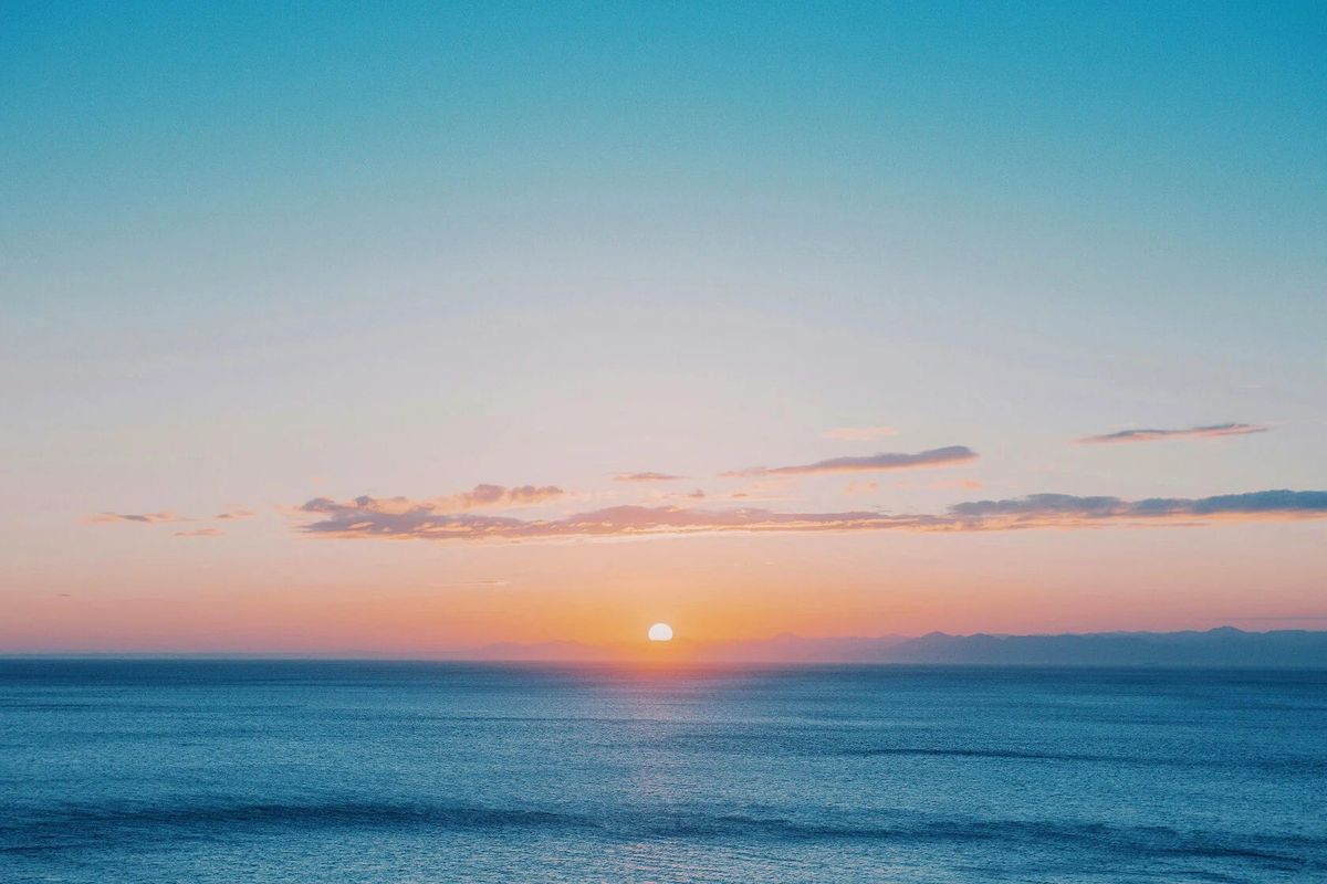 Оазис в городской суете