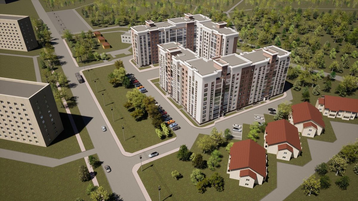 Вид на сосновый лес