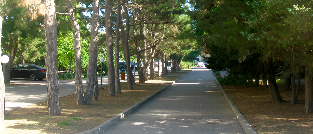 Парковая территория