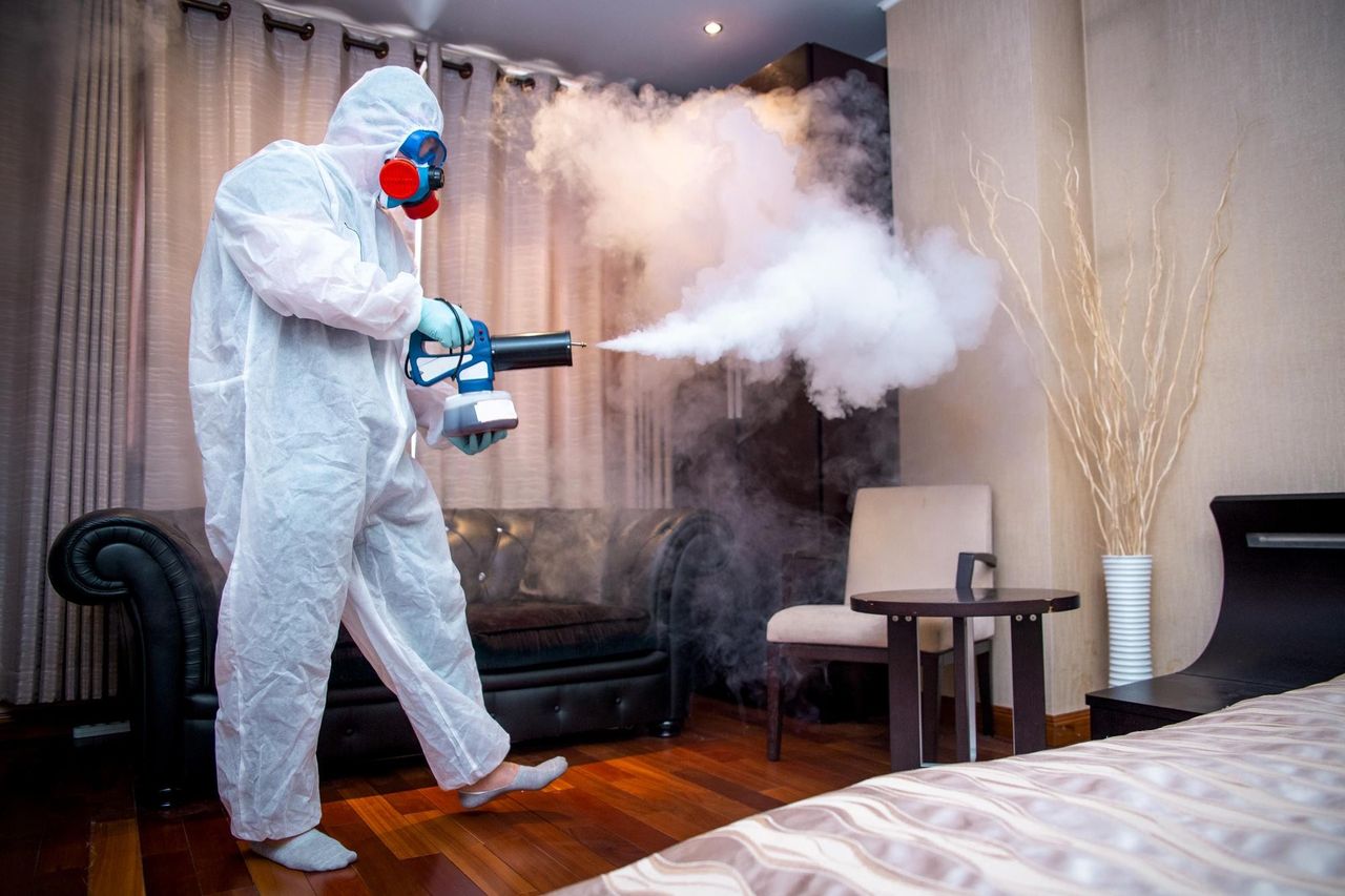 Дезинфекция против пастельных клопов в квартире