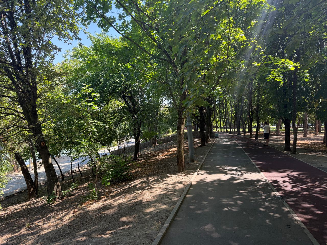 Спортивный парк стадиона Кубань, деревья в парке, прорезиненная дорожка для бега