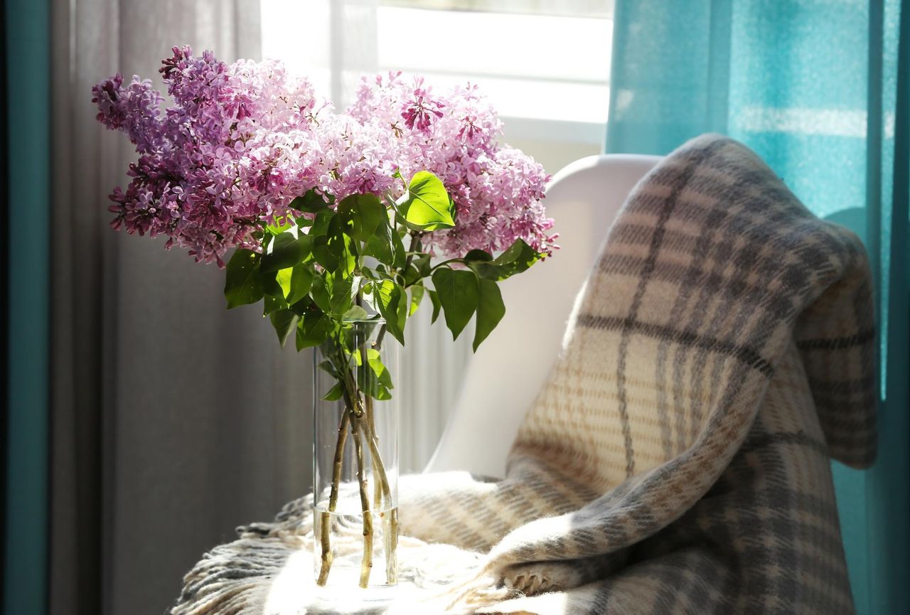 Сирень в вазе стоит на кресле, на кресле теплый плед, тепло светит солнце через окно