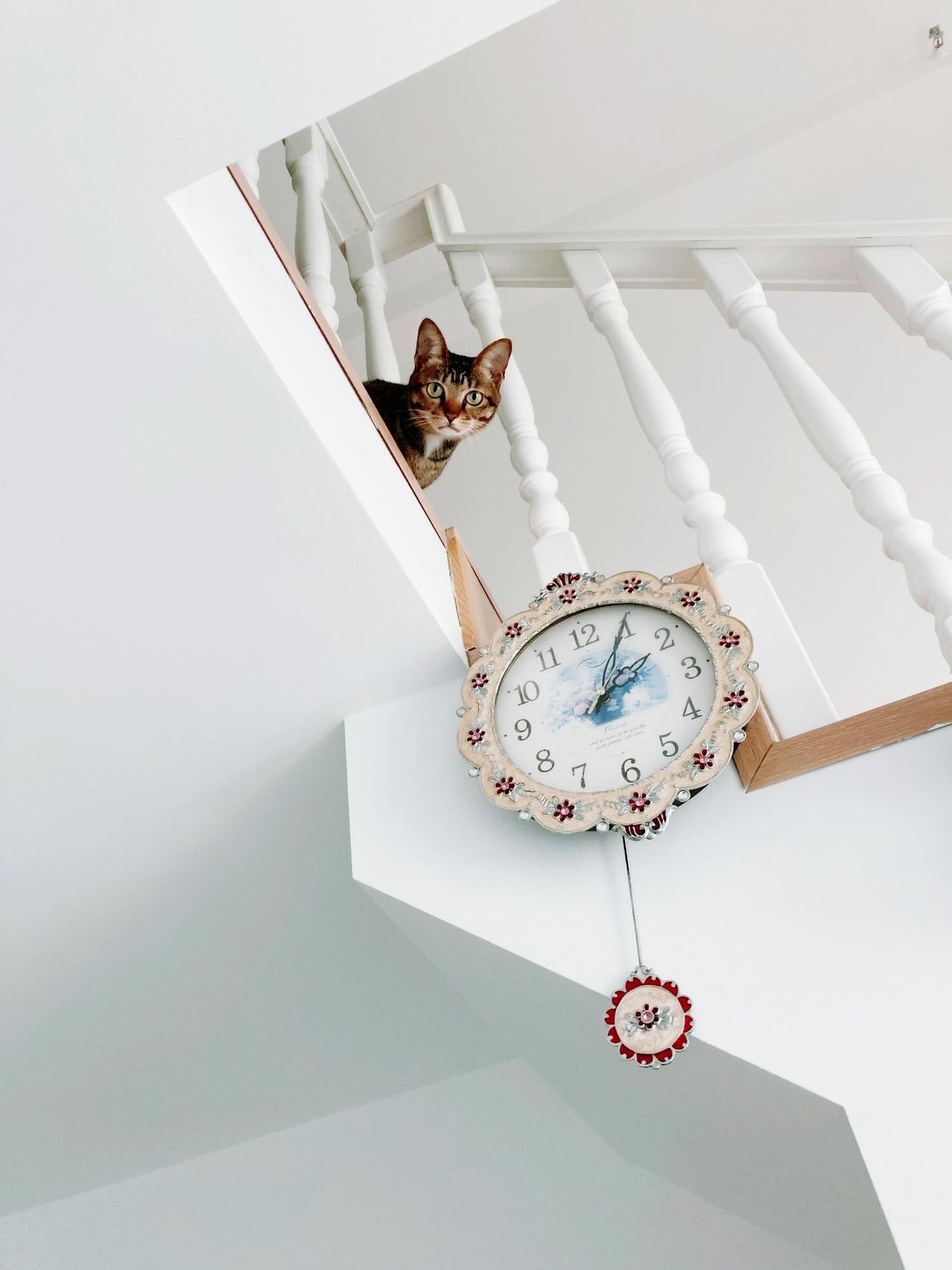 Кот на белой лестнице на второй этаж, висят часы