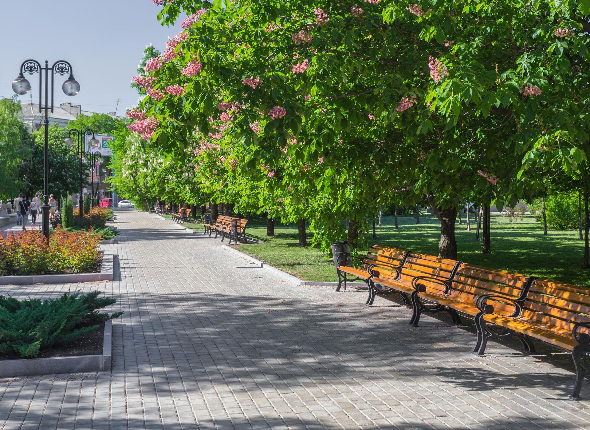 Прогулочная аллея в парке, лавочки