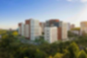 Превью трансляции