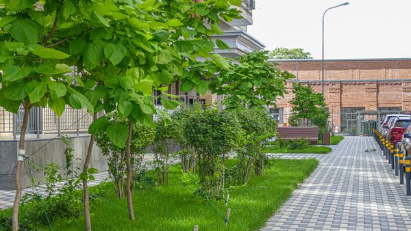 Ход строительства ЖК «Свобода» за Июнь 2023 г., фото №5