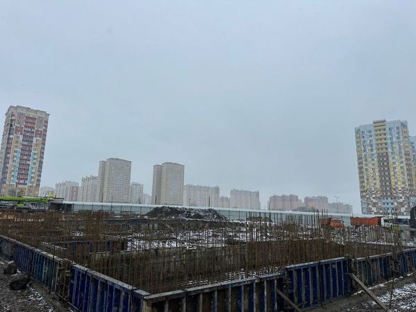 Ход строительства ЖК «Сокольники» за Январь 2024 г., фото №5