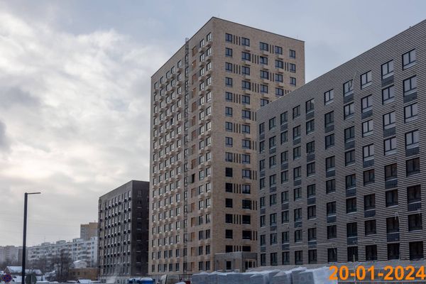 Ход строительства ЖК «Никольские луга» за Январь 2024 г., фото №3
