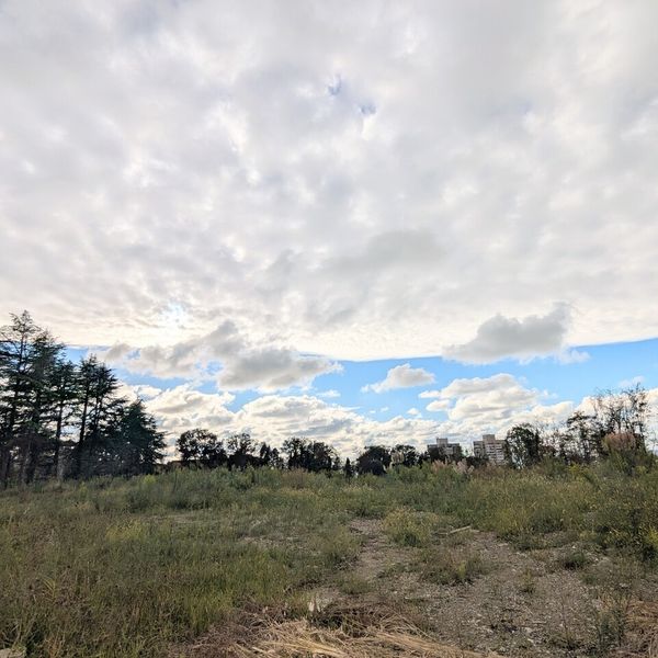 Сентябрь 2025