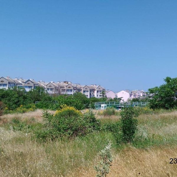Июнь 2025