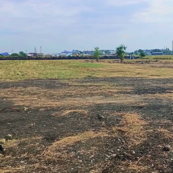 Сентябрь 2025