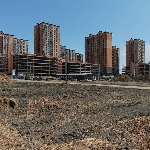 Август 2025