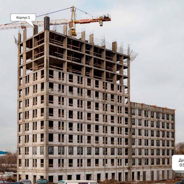 Февраль 2025