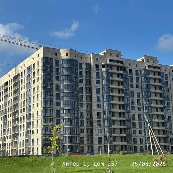 Август 2025