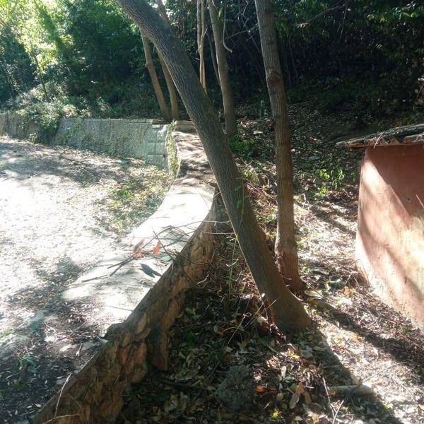 Сентябрь 2025