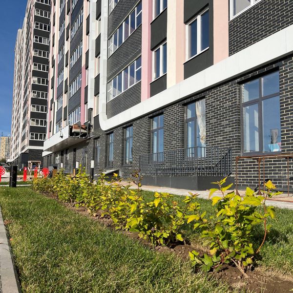 Сентябрь 2025