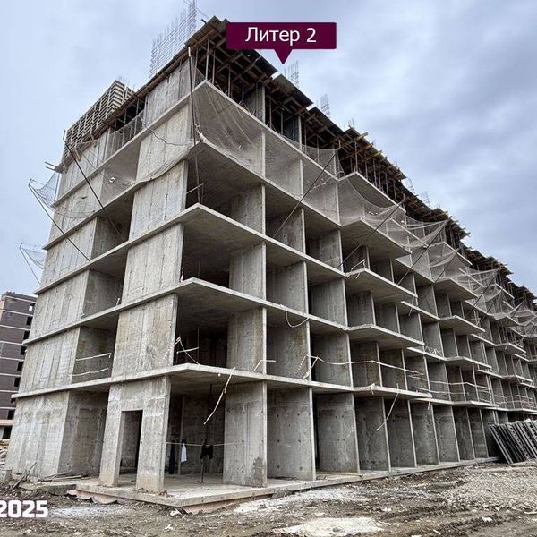 Январь 2025