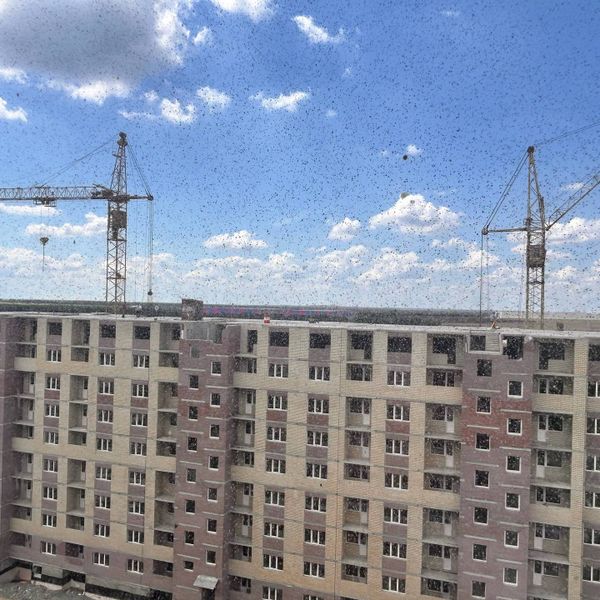 Ход строительства ЖК «Южный Сити» за Июнь 2026 г.