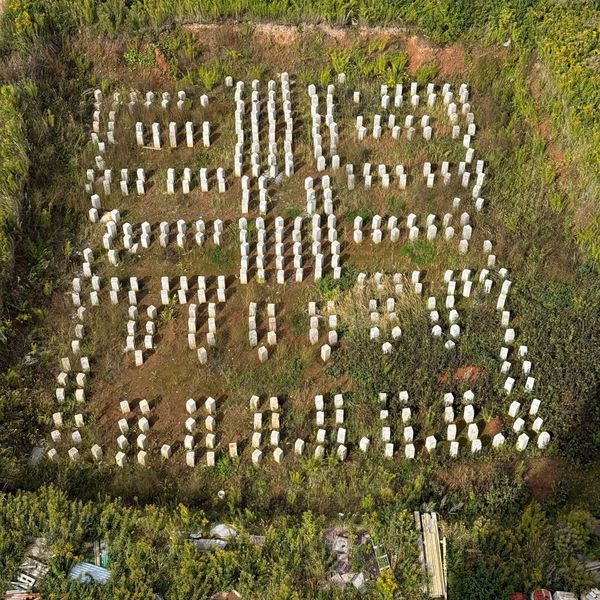 Сентябрь 2025