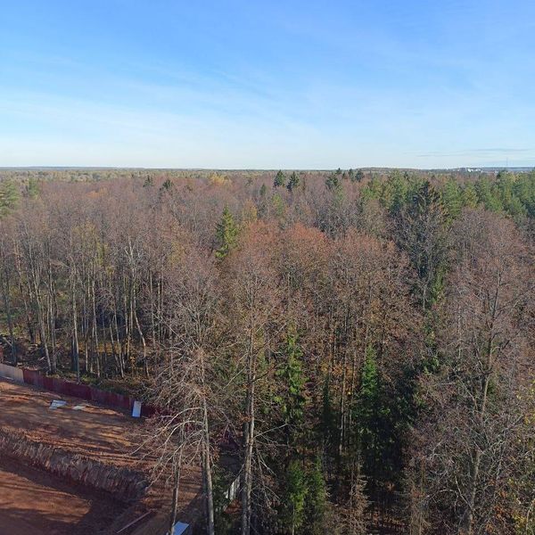 Сентябрь 2025