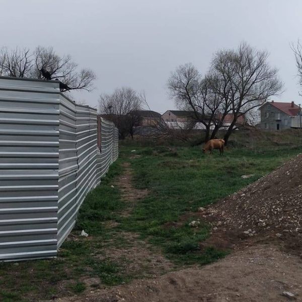 Март 2025