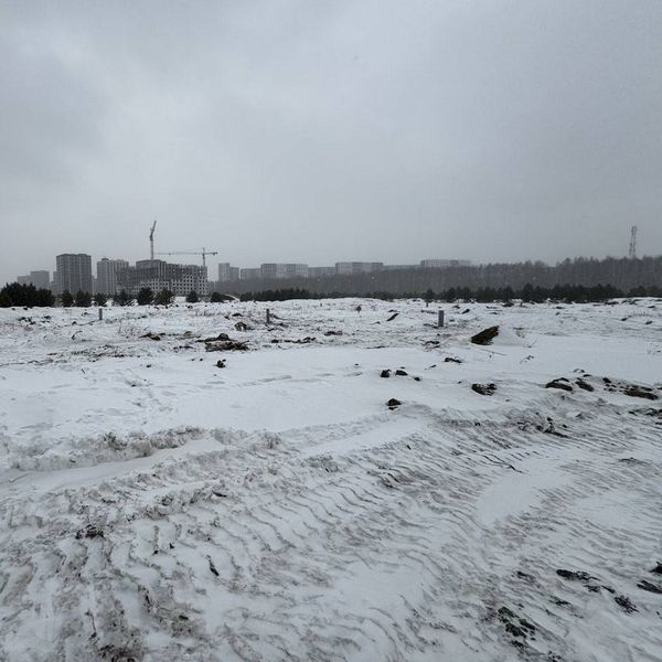 Апрель 2025