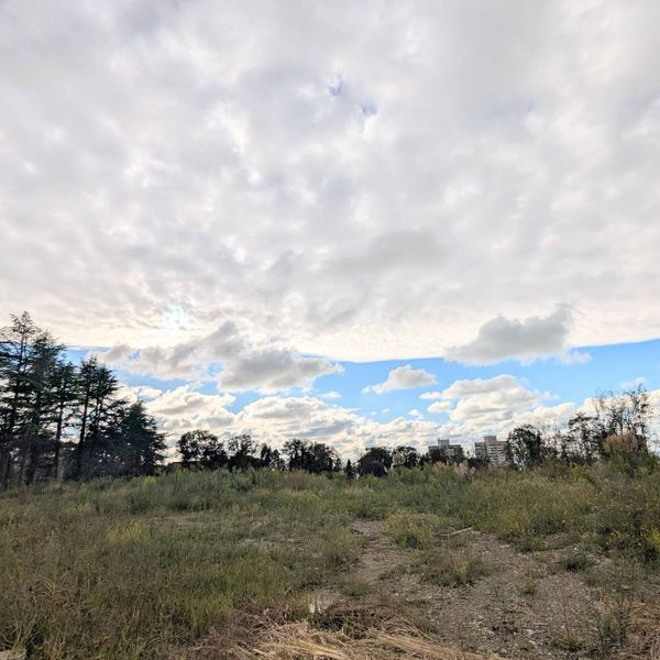 Сентябрь 2025