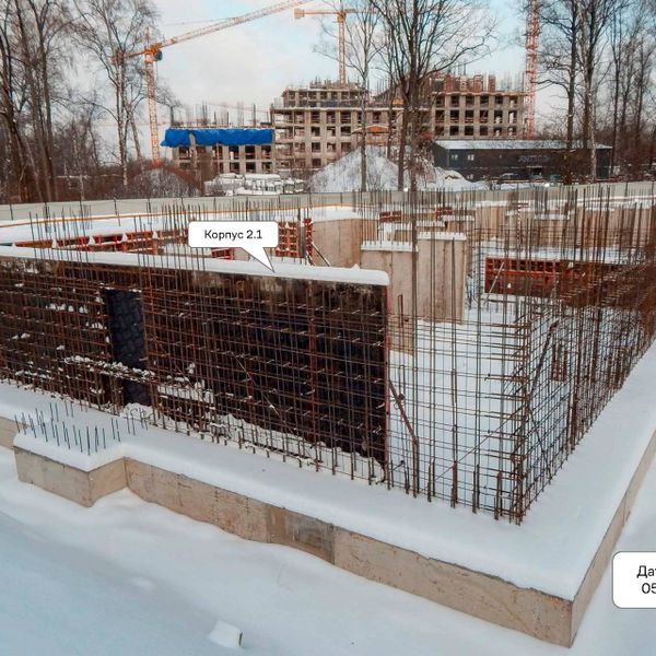 Январь 2025