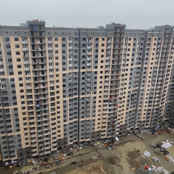 Ноябрь 2024