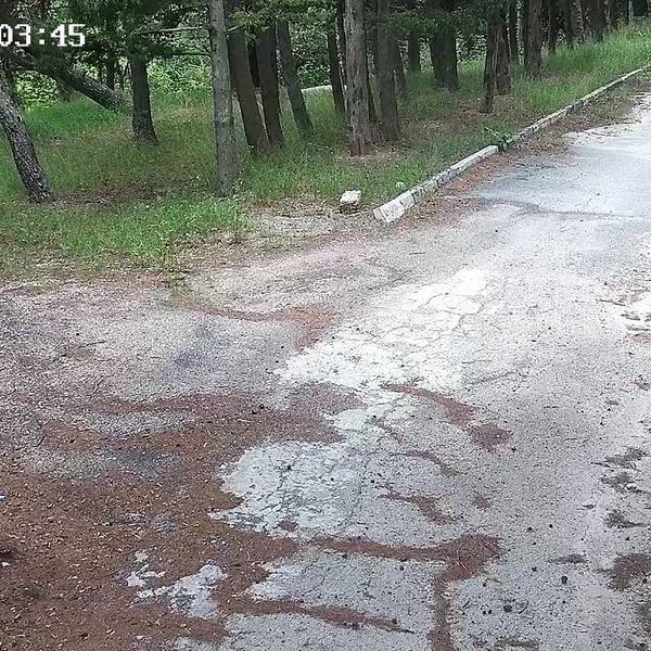 Ход строительства ЖК «Царская Тропа» за Май 2026 г.