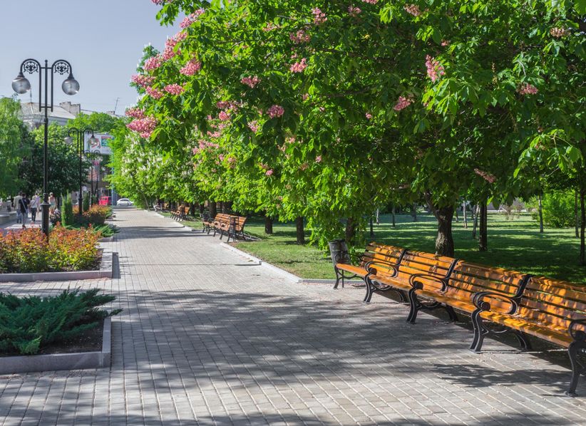 Прогулочная аллея в парке, лавочки